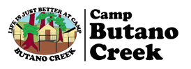 Camp Butano Creek